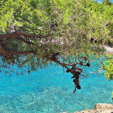 Villa Kamelija Фажана Екстер'єр фото