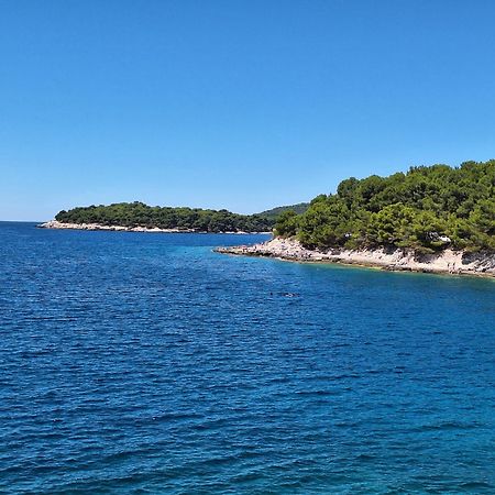 Villa Kamelija Фажана Екстер'єр фото