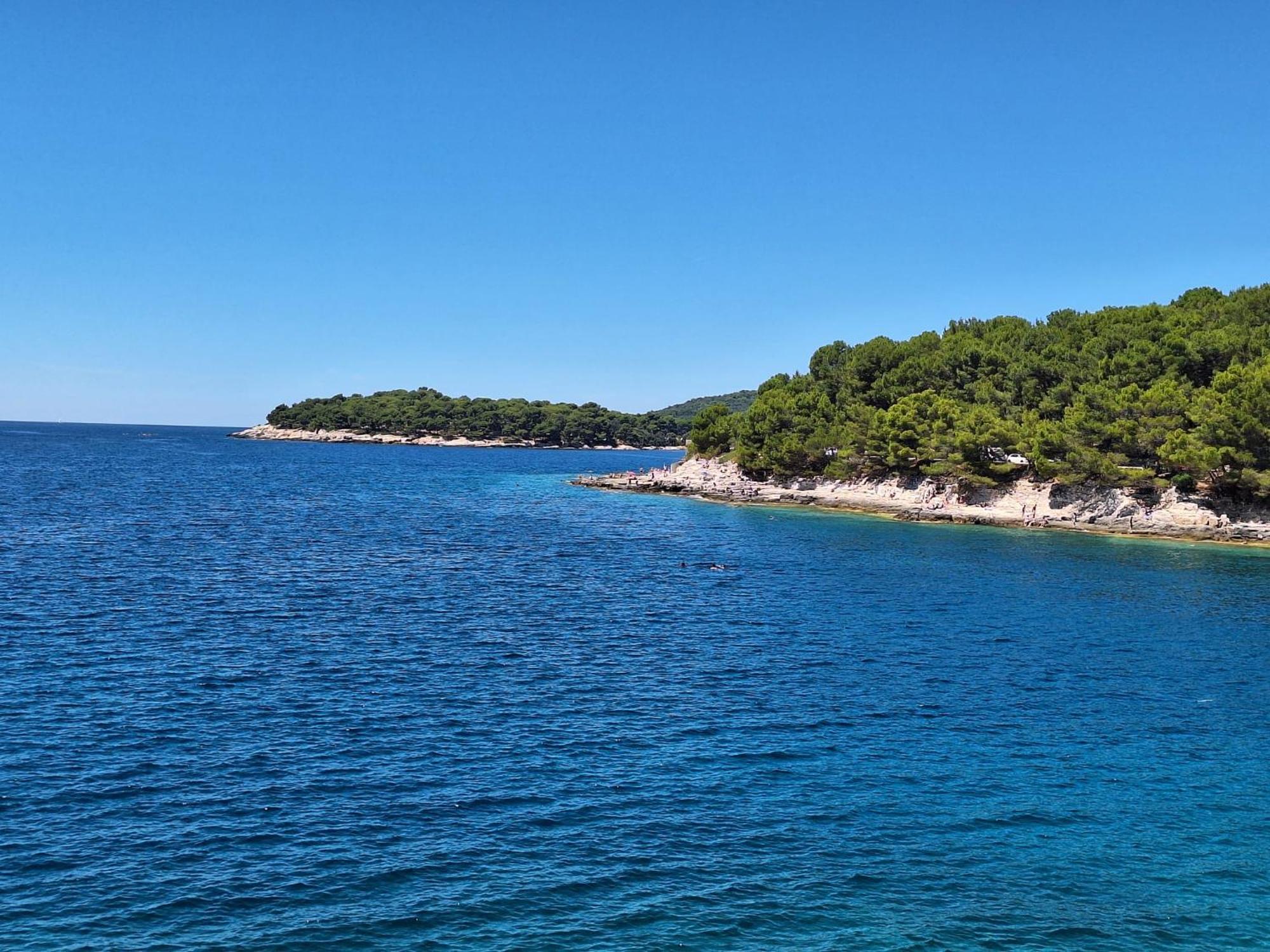 Villa Kamelija Фажана Екстер'єр фото